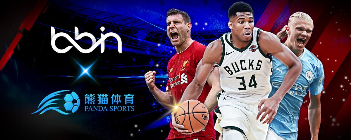 M组合的潜